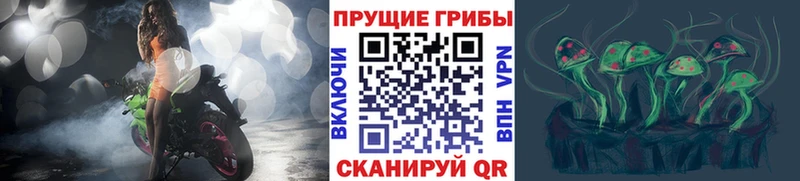 Псилоцибиновые грибы GOLDEN TEACHER закладки Геленджик